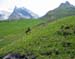 austria20034