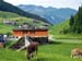 austria20078