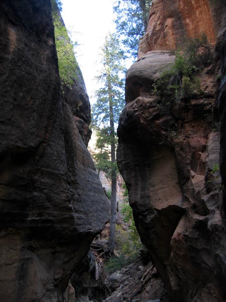 summerfall050093_r1