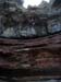 summerfall050089_r1