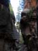 summerfall050093_r1