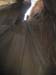 summerfall050111_r1