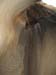 summerfall050114_r1