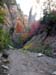 summerfall050118_r1