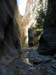 summerfall050119_r1