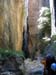 summerfall050121_r1