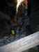 summerfall050133_r1