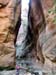 summerfall050135_r1