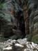 summerfall050137_r1