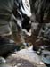 summerfall050138_r1