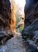 summerfall050141_r1