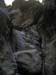 summerfall050147_r1