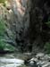summerfall050148_r1