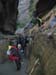 summerfall050152_r1