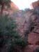 summerfall050038_r1