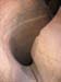 summerfall050042_r1