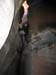 summerfall050050_r1