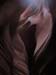 summerfall050055_r1