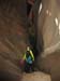 summerfall050072_r1