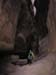 summerfall050074_r1