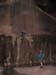 summerfall050084_r1