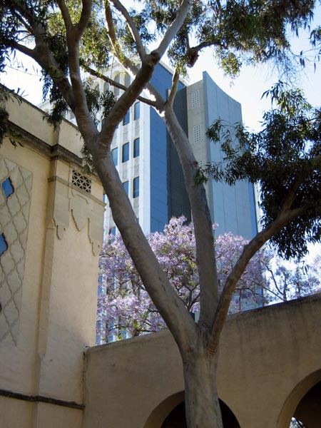 cal0097_r1