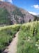 july060036_r1