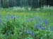 july060056
