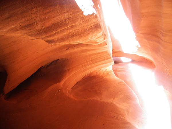 spring20060022