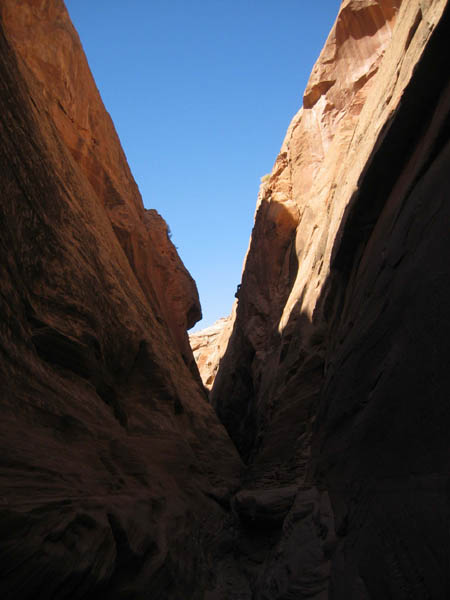 spring20060025_r1