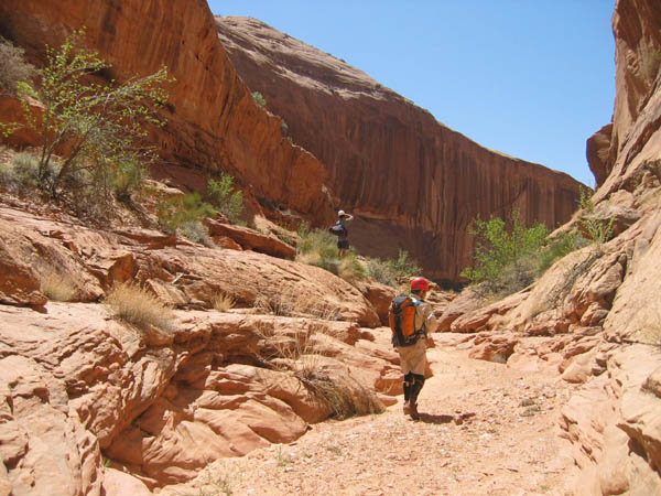 spring20060063