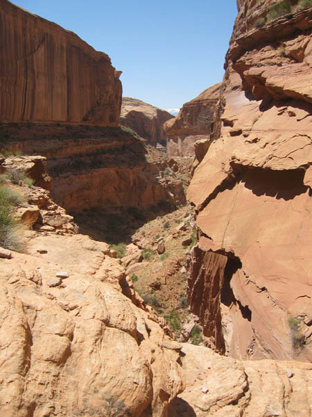 spring20060067_r1