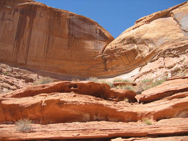 spring20060072