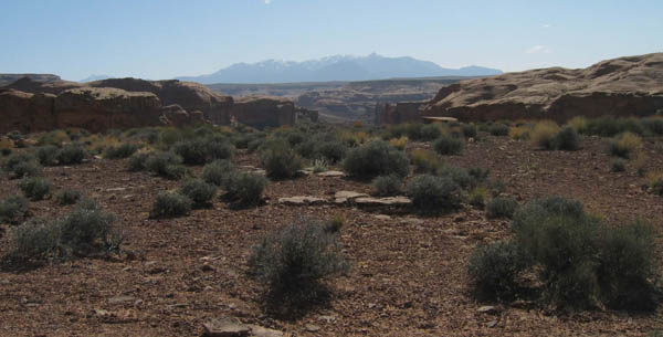spring20060078