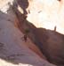 spring20060012_r1