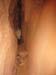 spring20060058_r1