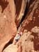 spring20060061_r1