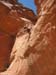 spring20060071_r1