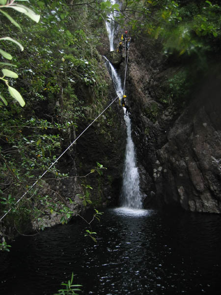 cf20055_r1