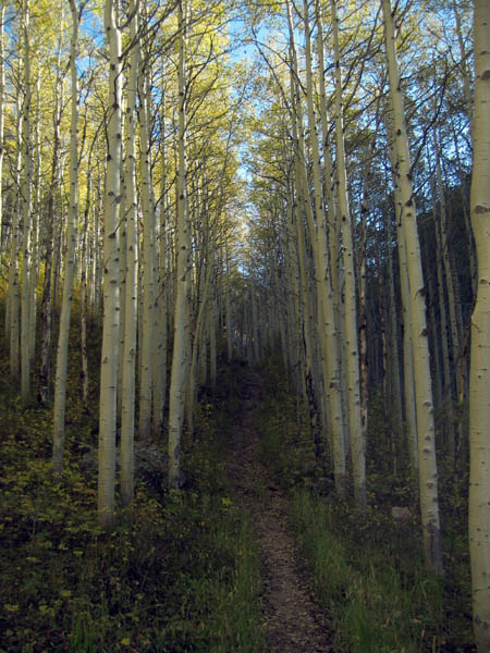 sep07hike0007_r1