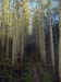 sep07hike0007_r1