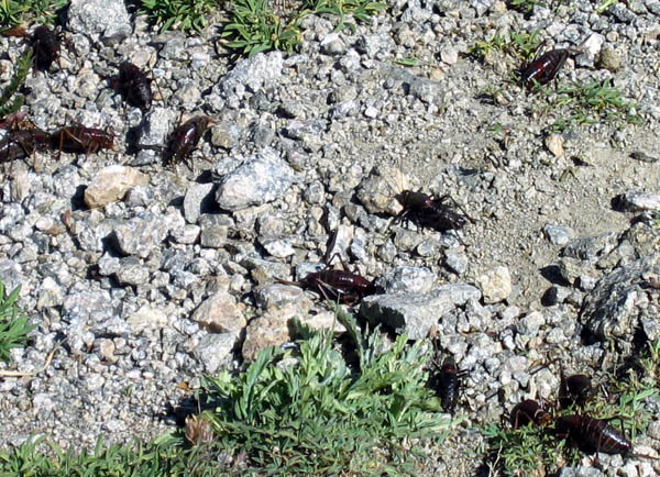 augsep070227